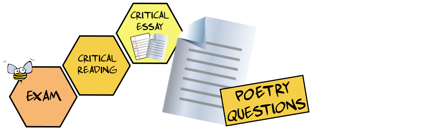 Essay questions about poetry